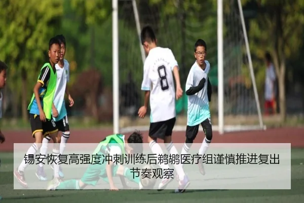 锡安恢复高强度冲刺训练后鹈鹕医疗组谨慎推进复出节奏观察
